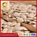 EU Top Quality Shine Skin Pumpkin Seeds